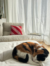 Load image into Gallery viewer, Cushion - Pink &amp; red stripes
